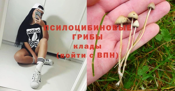 mdpv Волоколамск