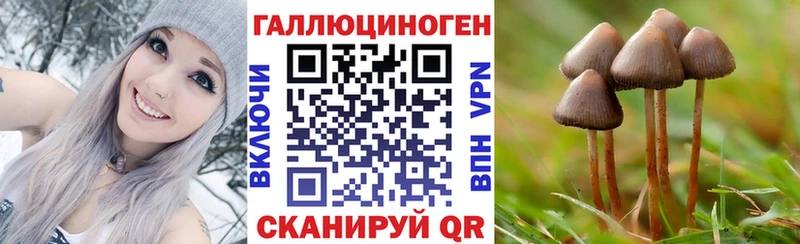 Псилоцибиновые грибы мицелий Стерлитамак